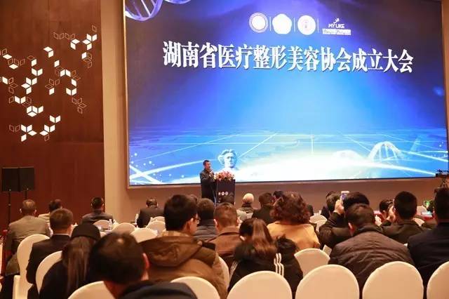 长沙美莱成功承办湖南省医学美容2016学术年会