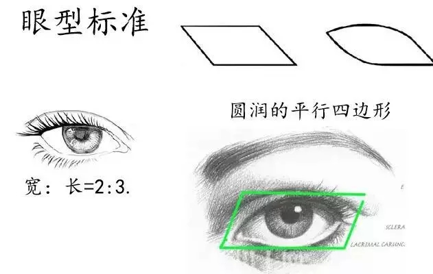 上海美莱告诉你双眼皮如何选择适合脸型